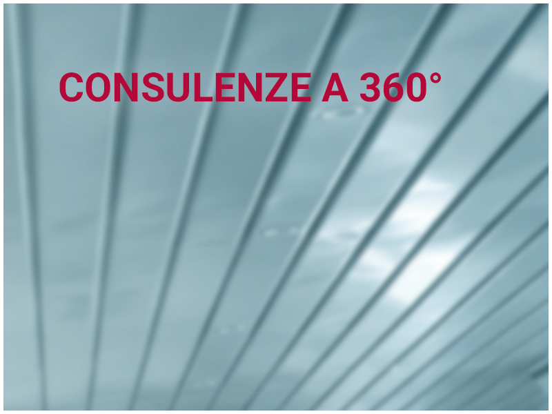 CONSULENZE A 360°
