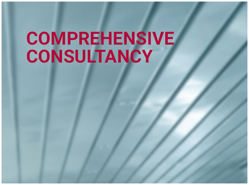COMPREHENSIVE CONSULTANCY