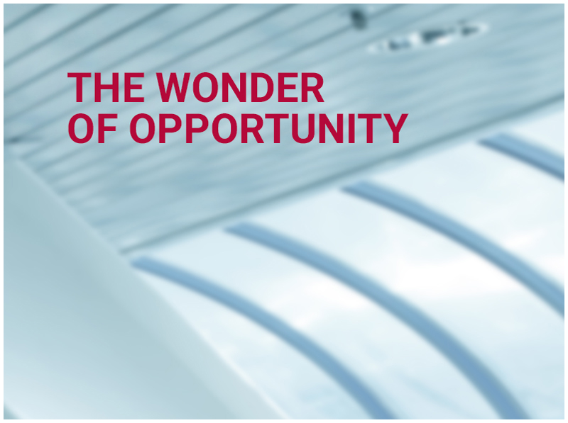 THE WONDER OF OPPORTUNITY